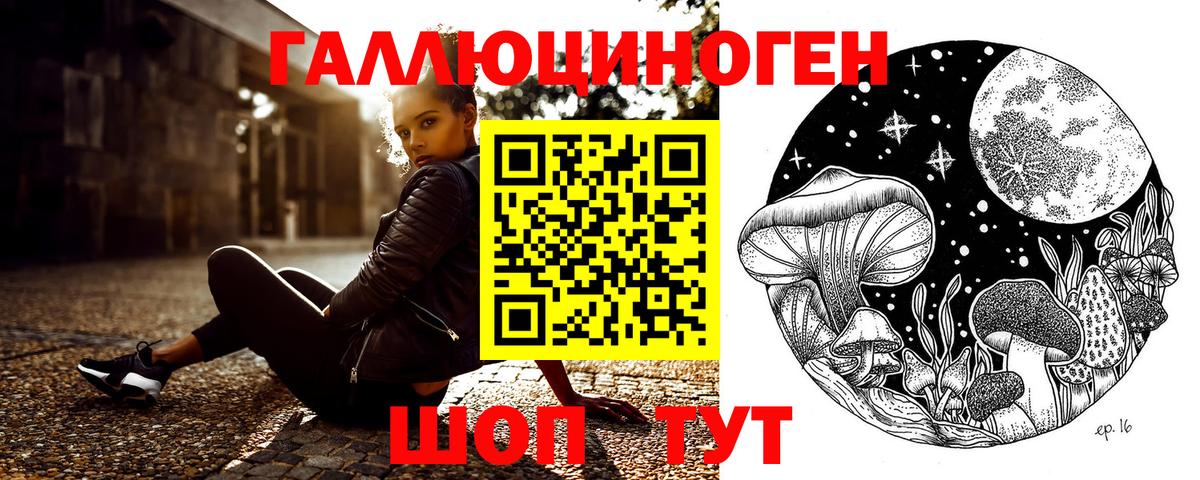 Кольчугино  где можно купить   Вход с VPN  Галлюциногенные грибы Psilocybine cubensis 